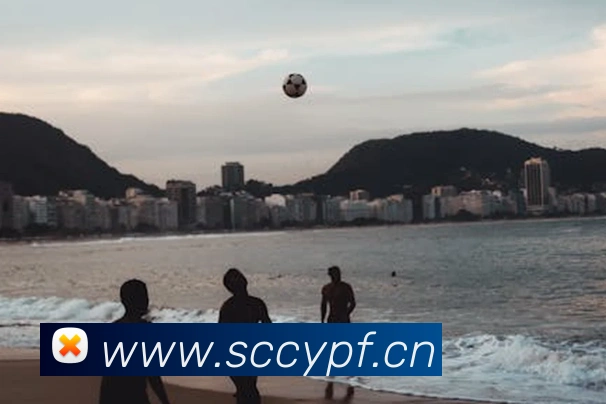 kaiyun官网入口服务体系